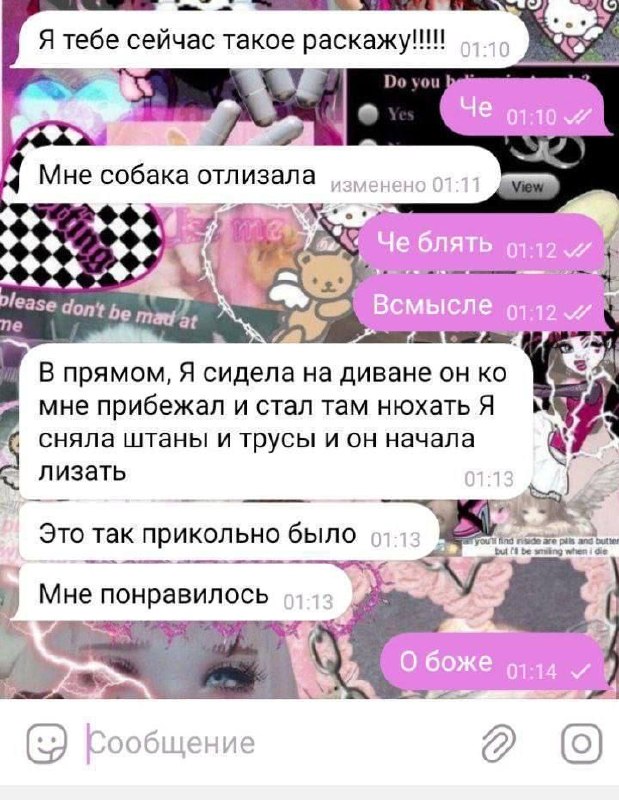 Шокирующая переписка о том, как собака лизала девушку, а ей это неожиданно понравилось.