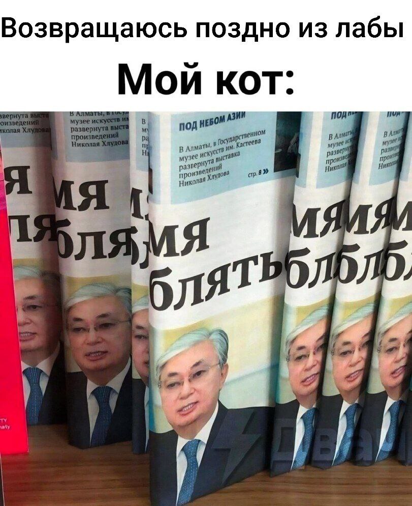 Мой кот ждёт меня дома Мем про кота, который ждёт дома, когда хозяин возвращается поздно из лабы