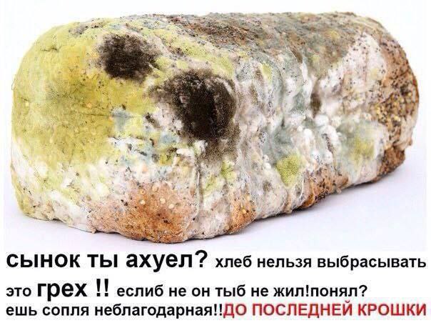 Хлеб нельзя выбрасывать Мем с заплесневелым куском хлеба и гневной надписью о том, что хлеб нельзя выбрасывать