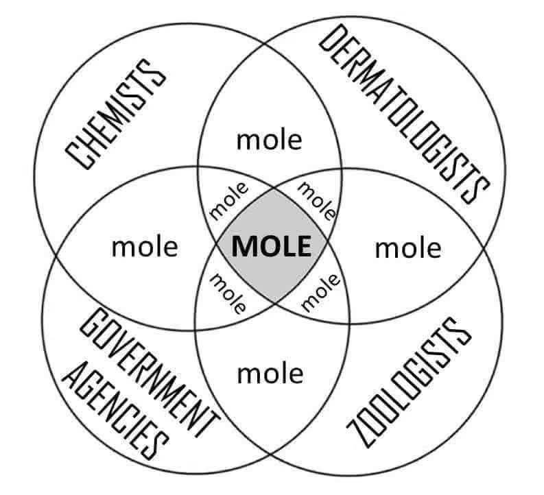 Диаграмма Венна о том, как слово «mole» объединяет химиков, дерматологов, правительственные учреждения и зоологов