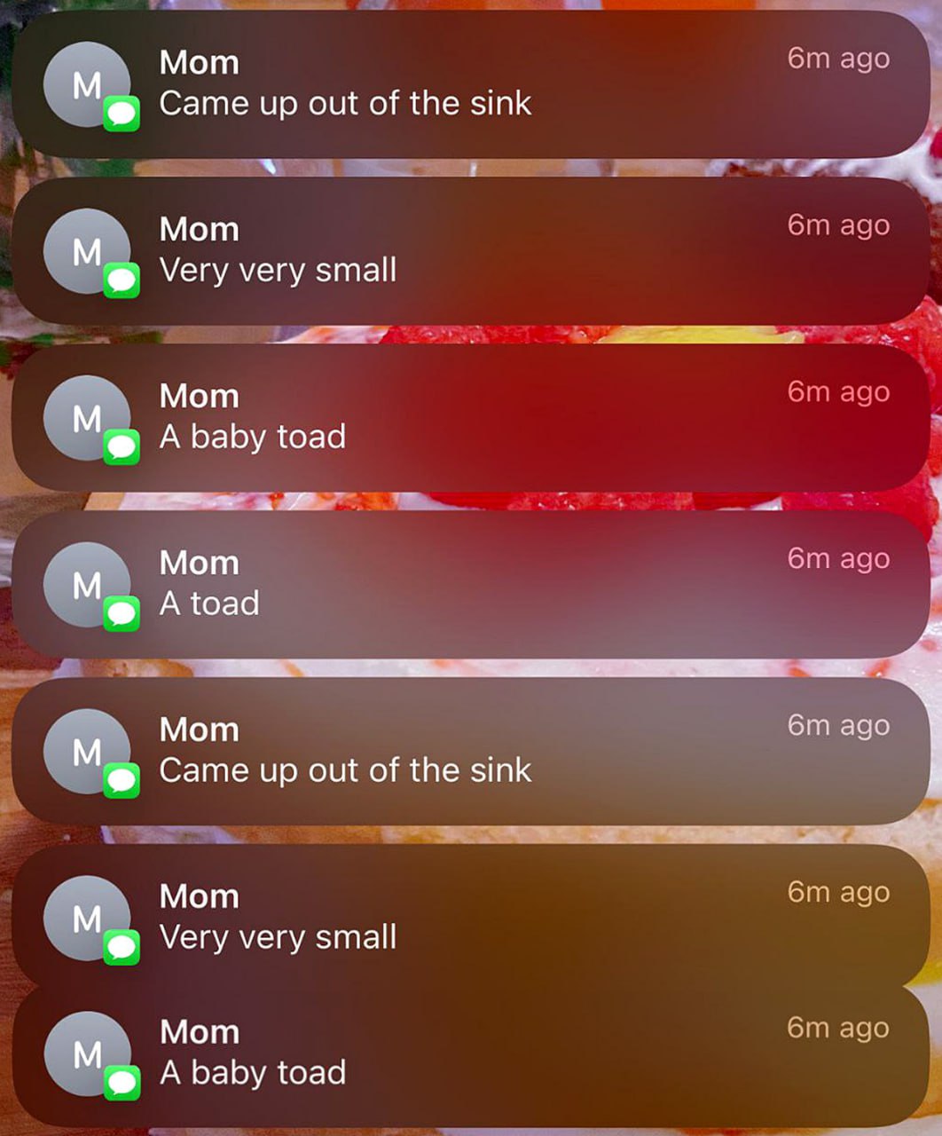 Mom came up out of the sink Уведомления от мамы, которая описывает жабу, вылезшую из раковины