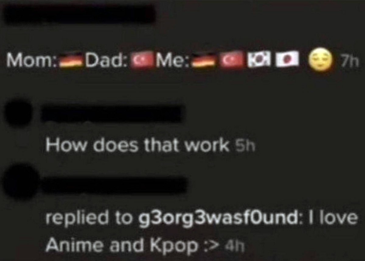 Mom:
Dad:
Me: I love Anime and Kpop Мем с флагами Германии, Турции, Южной Кореи и Японии, где пользователь объясняет свои культурные предпочтения аниме и Kpop.