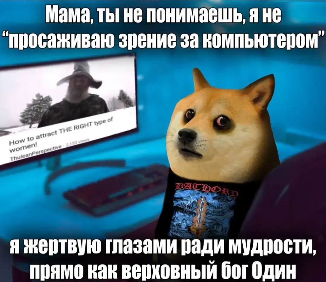Мама, ты не понимаешь, я не “просаживаю зрение за компьютером” Мем с собакой Доге в футболке Bathory, объясняющей маме, что он жертвует глазами ради мудрости, как Один