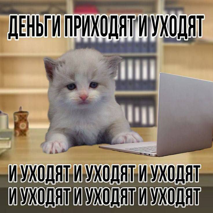 Деньги приходят и уходят Милый котёнок за ноутбуком и грустной фразой о деньгах: Деньги приходят и уходят, и уходят