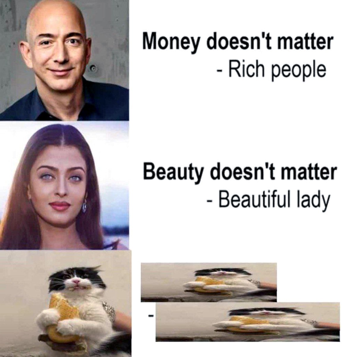 Money doesn't matter - Rich people Мем, где богатые и красивые люди говорят, что деньги и красота не имеют значения, а кот держит в лапах бургер и смотрится в воду, где его отражение искажено