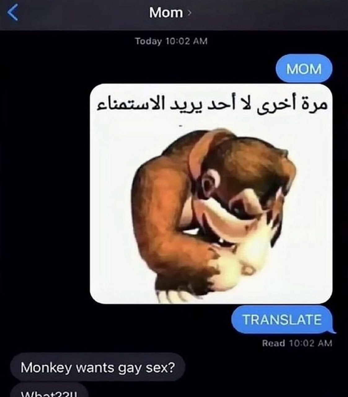 Monkey wants gay sex Переписка с мамой, где автоматический переводчик неправильно перевел арабский текст про мастурбацию, вызвав недоумение