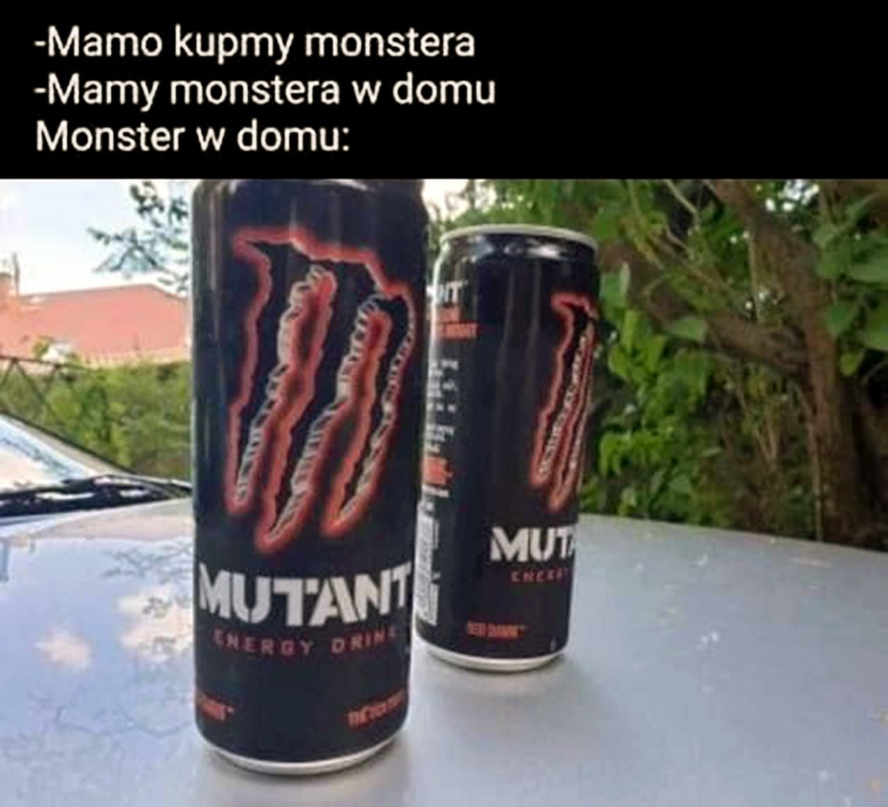 У нас есть монстр дома Mutant Energy Drink Мем про Monster Energy и Mutant Energy Drink