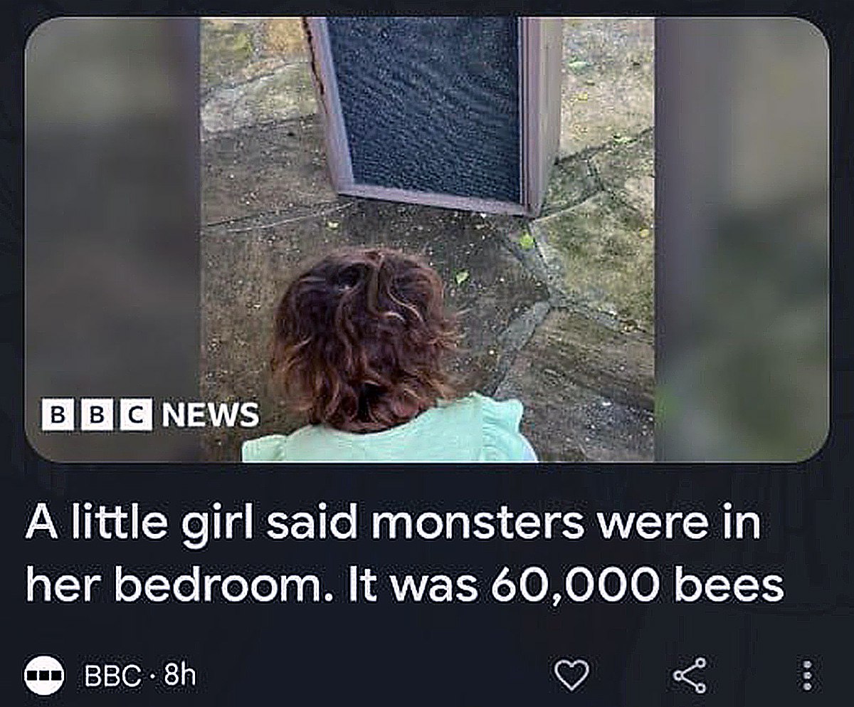 Монстры в спальне: 60 000 пчел BBC News: Девочка сказала, что в ее спальне монстры. Это было 60 000 пчел