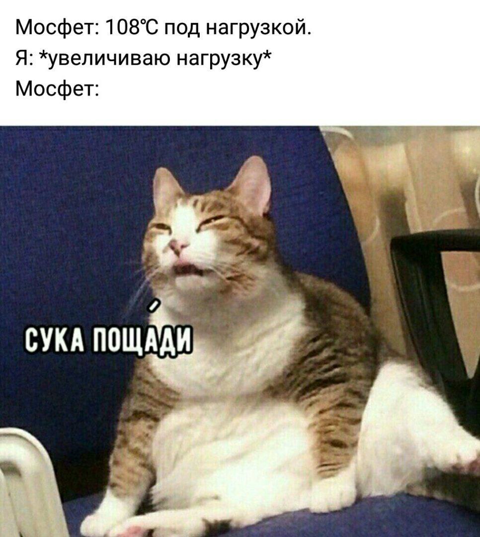 Мосфет: 108°C под нагрузкой. "Сука пощади" кот Мем про мосфет 108 градусов и кота "Сука пощади"