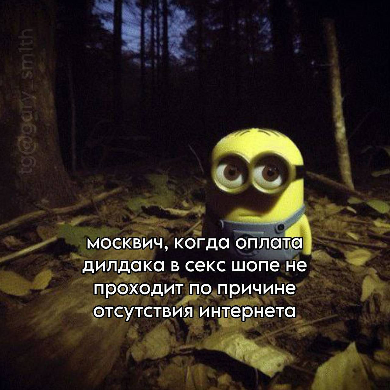 Москвич, когда оплата дилдака в секс шопе не проходит Миньон в темном лесу, выражение лица которого передает недоумение или шок от того, что москвич не может оплатить покупку из-за отсутствия интернета.