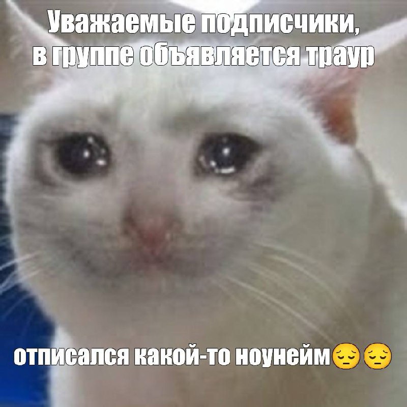 В группе объявляется траур, отписался какой-то ноунейм Плачущий белый кот с надписью «В группе объявляется траур: отписался какой-то ноунейм»