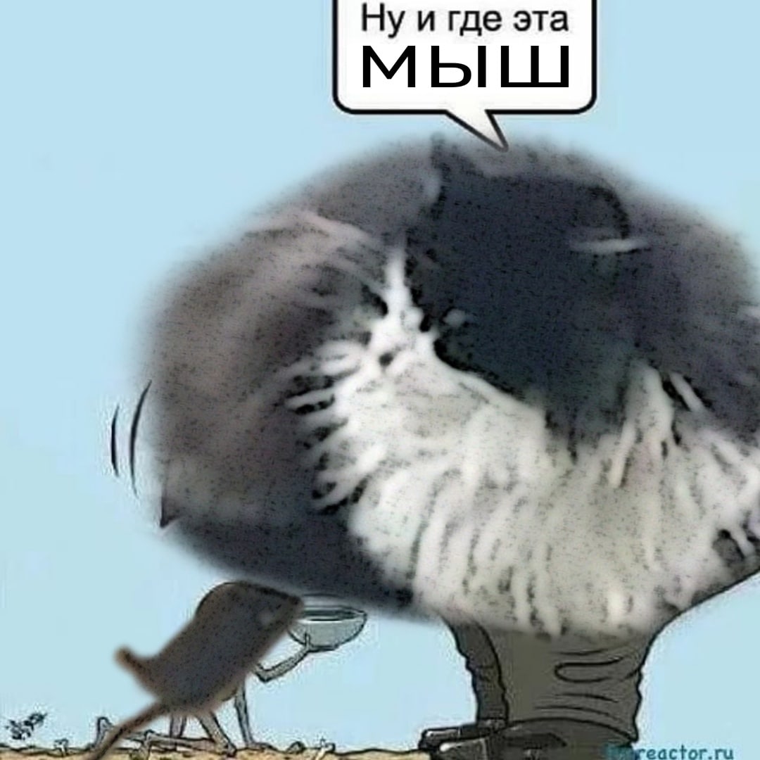 Ну и где эта мышь Мышь под клювом у совы