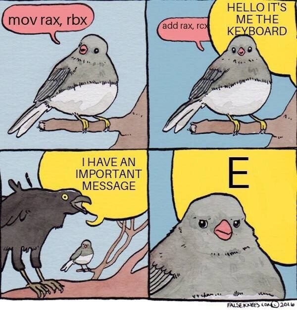 Комикс с птицами и фразами mov rax, rbx, add rax, rcx, Hello, it's me the keyboard и большой буквой E