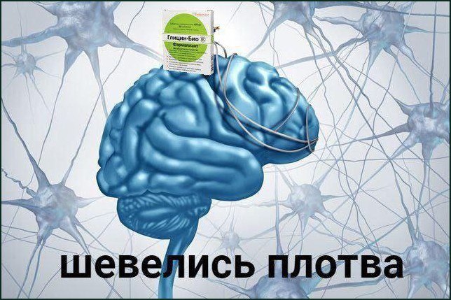 Шевелись, плотва Мозг с упаковкой глицина и надписью «Шевелись, плотва»