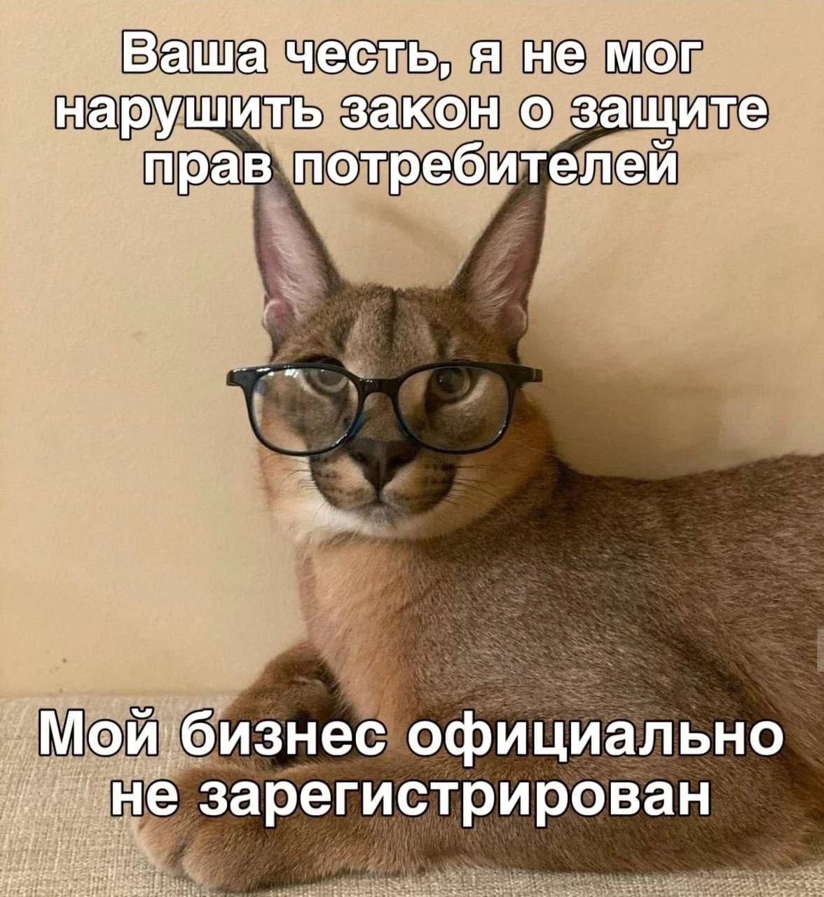 Мой бизнес не зарегистрирован Ваша честь, я не мог нарушить закон, так как мой бизнес официально не зарегистрирован