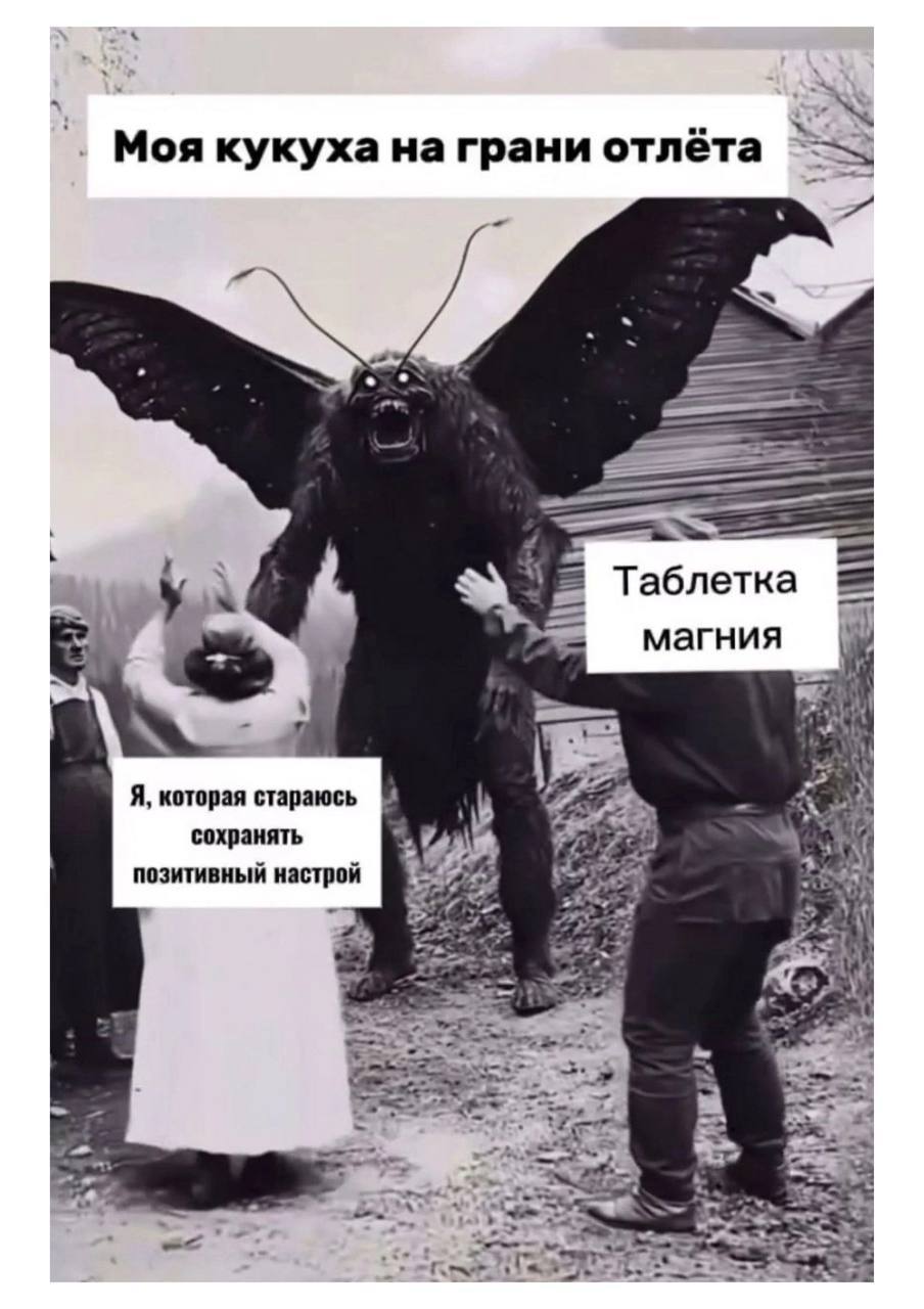 Моя кукуха на грани отлёта Мем про кукуху на грани отлёта, таблетку магния и попытку сохранить позитивный настрой