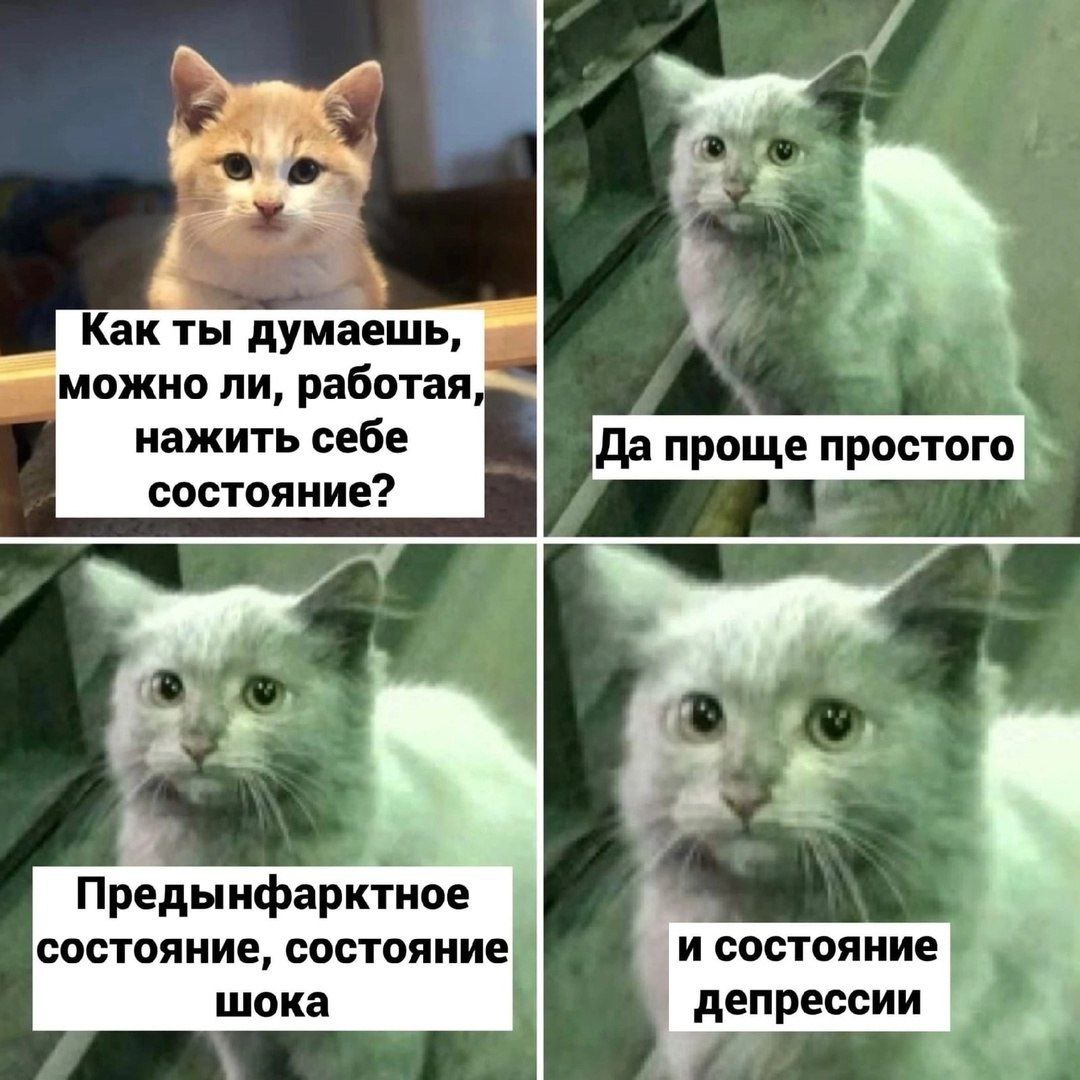 Можно ли, работая, нажить себе состояние Мем с двумя котами, где один кот спрашивает: «Как ты думаешь, можно ли, работая, нажить себе состояние?», а второй отвечает: «Да проще простого. Предынфарктное состояние, состояние шока и состояние депрессии»