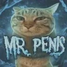 Суровый полосатый кот с невозмутимым выражением лица и надписью «MR PENO» на фоне льда.