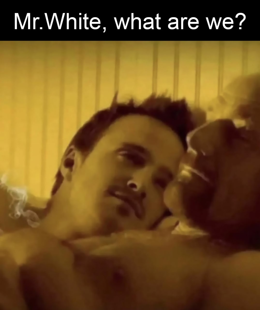 Mr. White, what are we? Кадр из сериала «Во все тяжкие», где Джесси Пинкман и Уолтер Уайт лежат в кровати после приготовления метамфетамина. Надпись сверху: «Mr. White, what are we?»