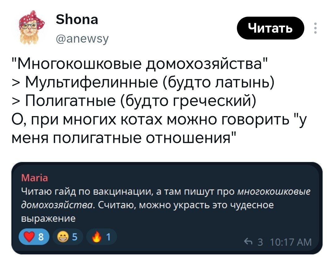 Шутка о многокошковых домохозяйствах, мультифелинных и полигатных отношениях между владельцами нескольких кошек