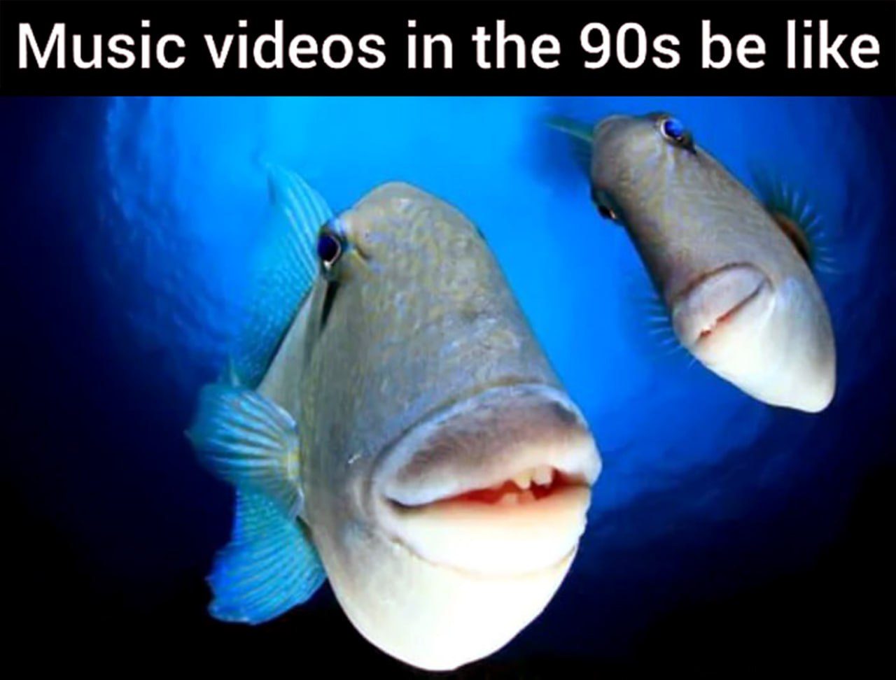 Music videos in the 90s be like Мем с двумя рыбами, одна из которых с забавными губами, и надписью "Music videos in the 90s be like".