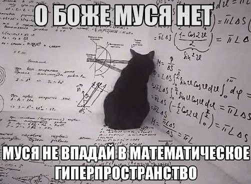 Чёрная кошка сидит перед стеной с математическими формулами, а хозяин боится, что Муся попадёт в математическое гиперпространство.