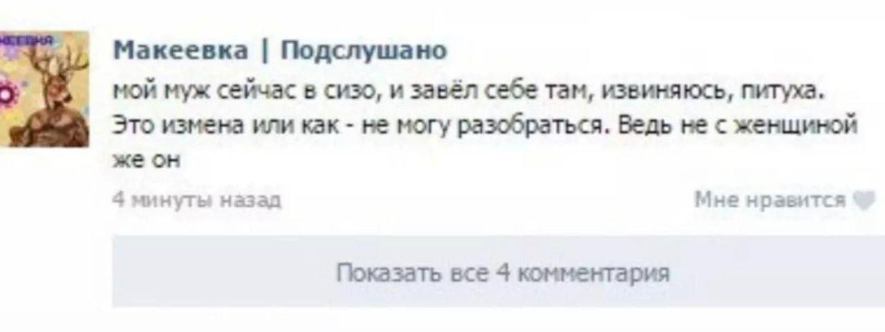 Муж завёл питуха в СИЗО Пользователь ВКонтакте задаёт вопрос, является ли изменой то, что её муж в СИЗО завёл "питуха".