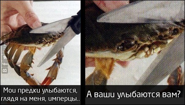 Мои предки улыбаются, глядя на меня, имперцы Мем "Мои предки улыбаются, глядя на меня, имперцы.." с крабом