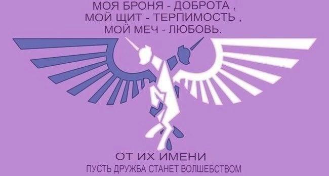 Моя броня - доброта Мем с текстом: «Моя броня - доброта, мой щит - терпимость, мой меч - любовь» и символом Империума Человечества из Warhammer 40,000, переделанным под пони.