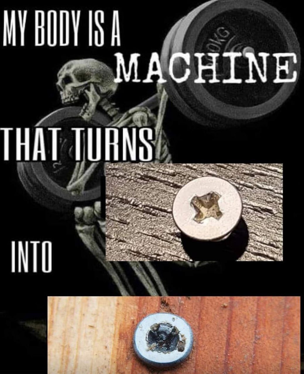 My body is a machine that turns into My body is a machine that turns into