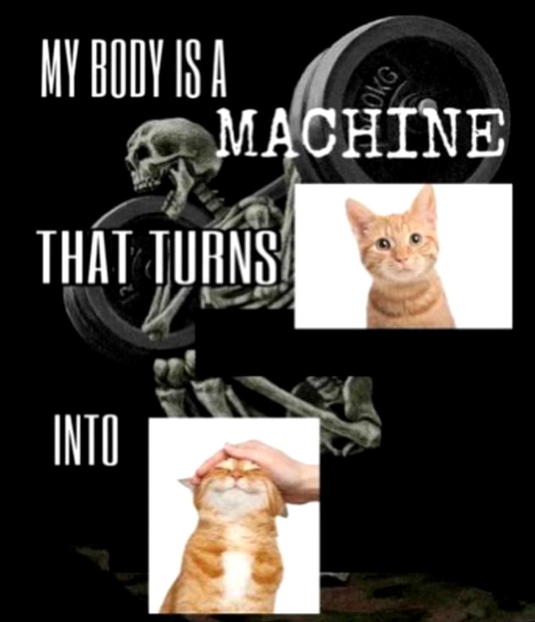 My body is a machine that turns into Мем My body is a machine that turns into cat