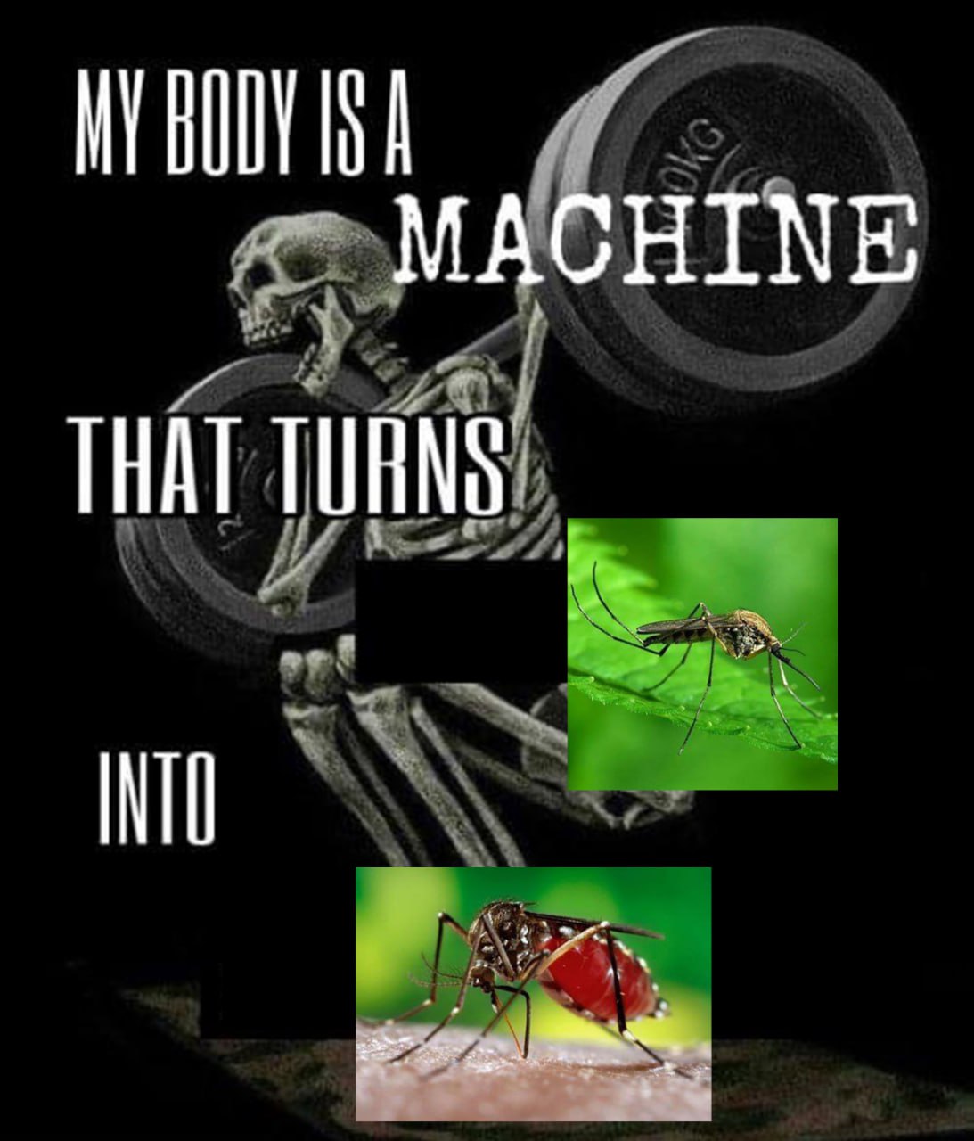 My body is a machine that turns into Мое тело превращается в комара