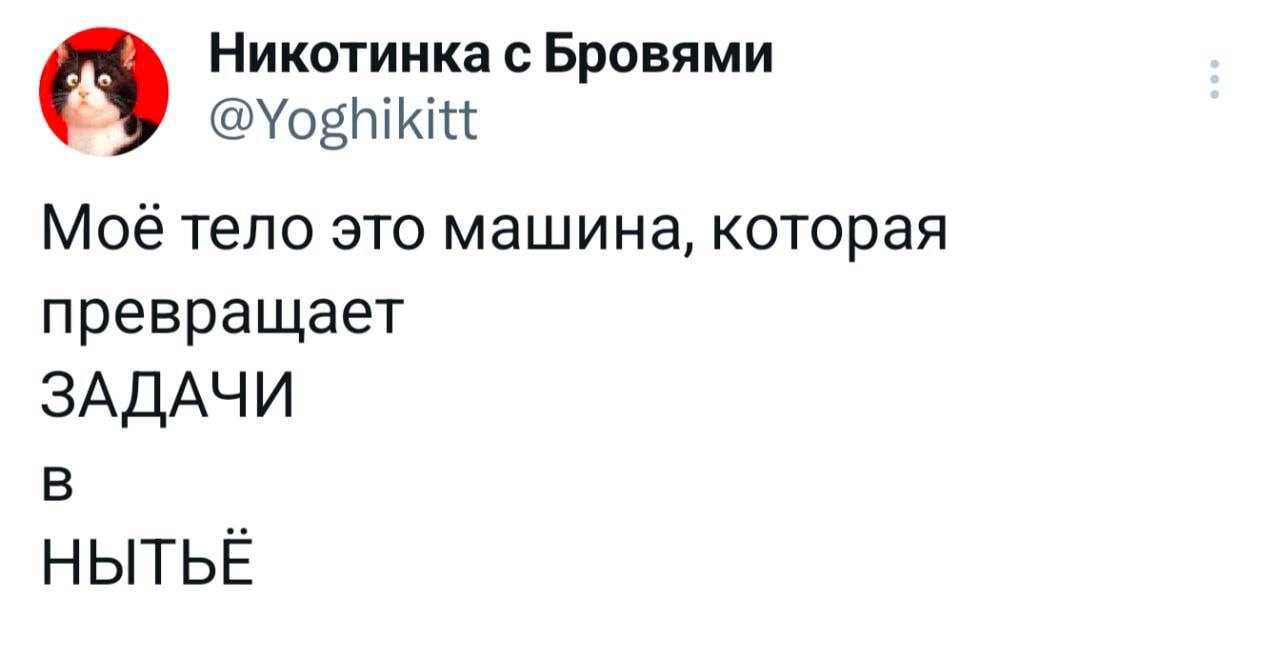 Моё тело это машина, которая превращает задачи в нытьё Мем со скриншотом из твиттера, где кот в профиле пользователя «Никотинка с Бровями» иронично описывает свое тело как машину для превращения задач в нытьё.