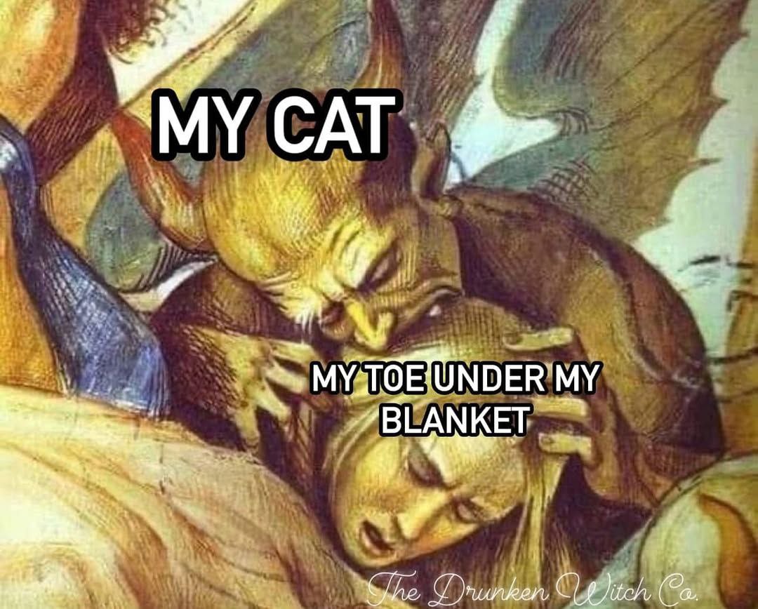 MY CAT MY TOE UNDER MY BLANKET Мой кот и мой палец под одеялом