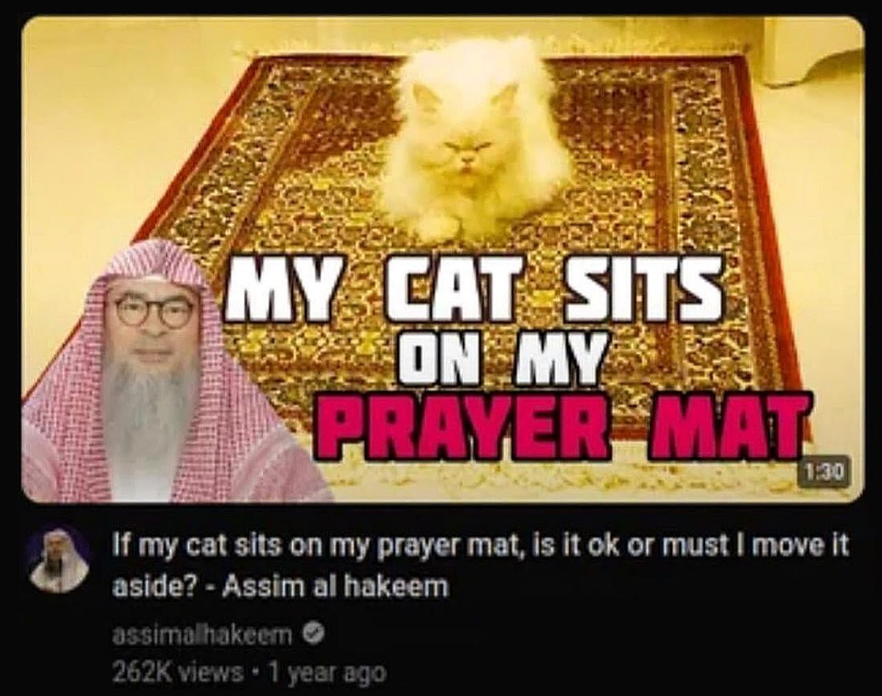 My cat sits on my prayer mat Мой кот сидит на моем молитвенном коврике