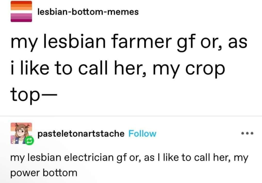 My crop top and my power bottom Мем с двумя шутками про девушек-лесбиянок, где в первой говорится о «моей девушке-фермере-лесбиянке, или, как я люблю ее называть, моей кроп-топ», а во второй о «моей девушке-электрике-лесбиянке, или, как я люблю ее называть, моей пауэр-боттом»