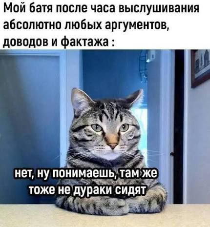 Мой батя после часа выслушивания: "Нет, ну понимаешь, там же тоже не дураки сидят" Мем с котом, который говорит: "Нет, ну понимаешь, там же тоже не дураки сидят" после долгого выслушивания аргументов, доводов и фактажа