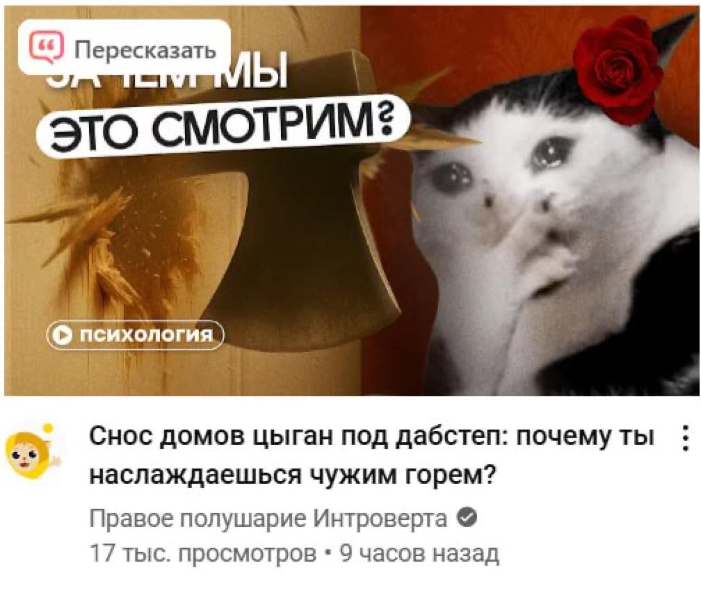 Мы это смотрим? Кот с розой на голове и топором, раскалывающим дерево, с текстом "Мы это смотрим?" на фоне. Под ним название видео "Снос домов цыган под дабстеп: почему ты наслаждаешься чужим горем?" и информация о канале "Правое полушарие Интроверта".