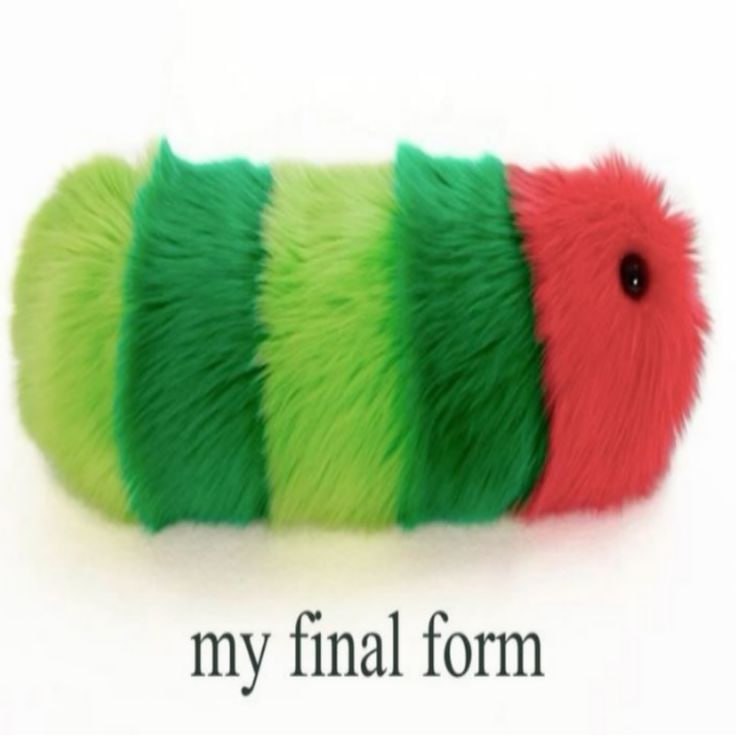 Пушистая зелёно-красная гусеница с надписью «my final form» — «моя финальная форма».