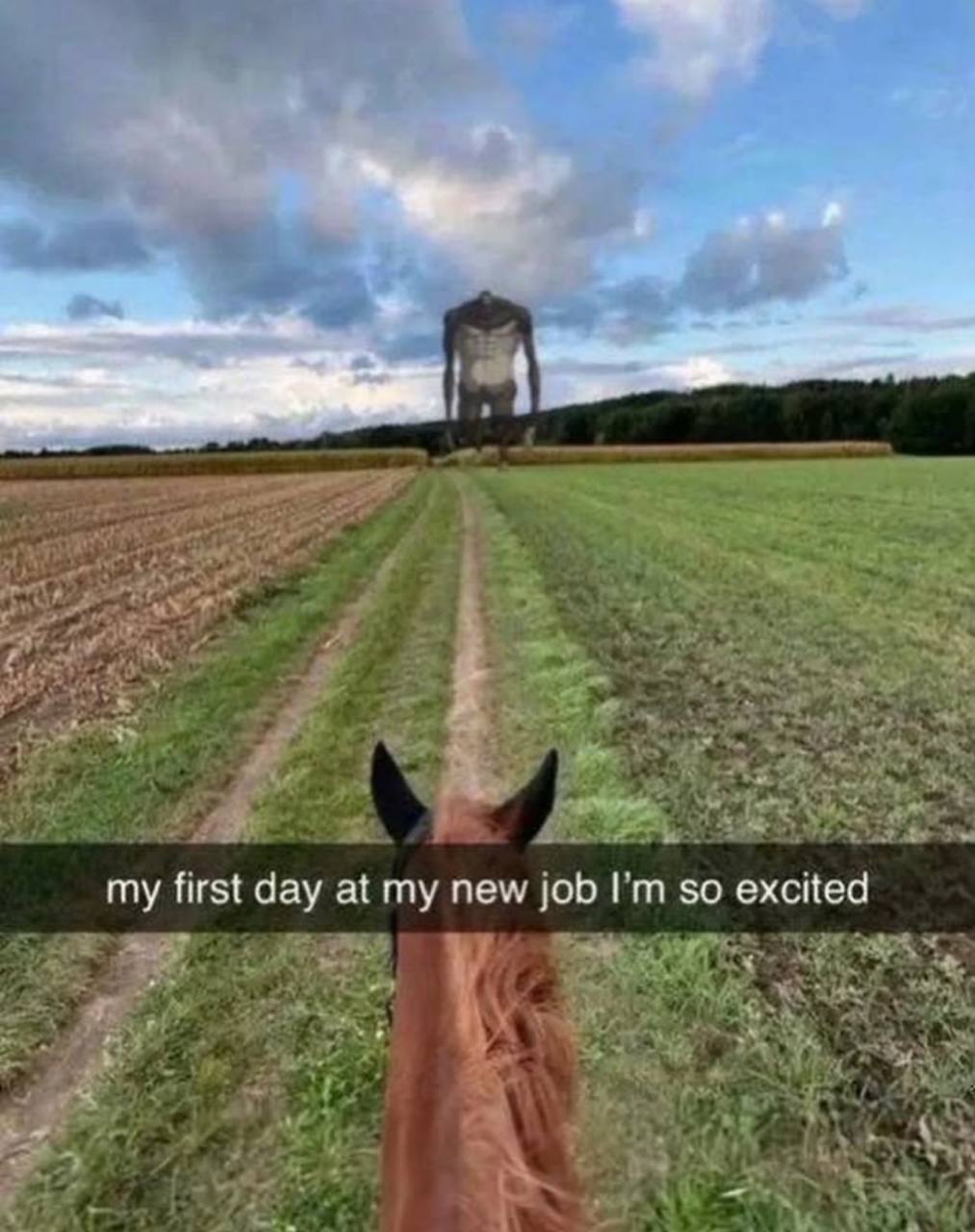 my first day at my new job I'm so excited и Колоссальный титан Первый день на новой работе и Колоссальный титан, вид от первого лица с лошади