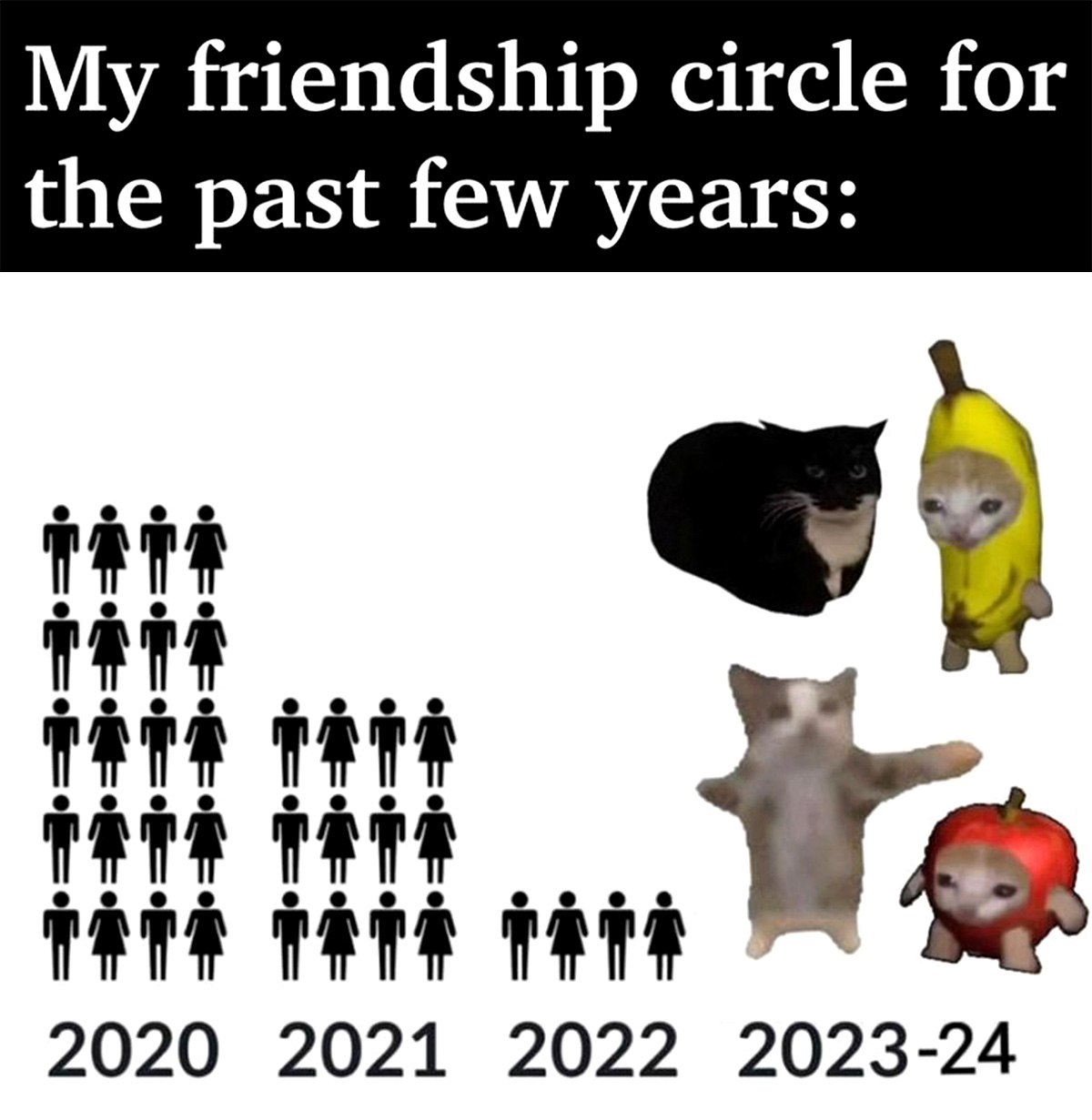 My friendship circle for the past few years Мем "My friendship circle for the past few years" с уменьшением количества друзей и появлением котов вместо них.