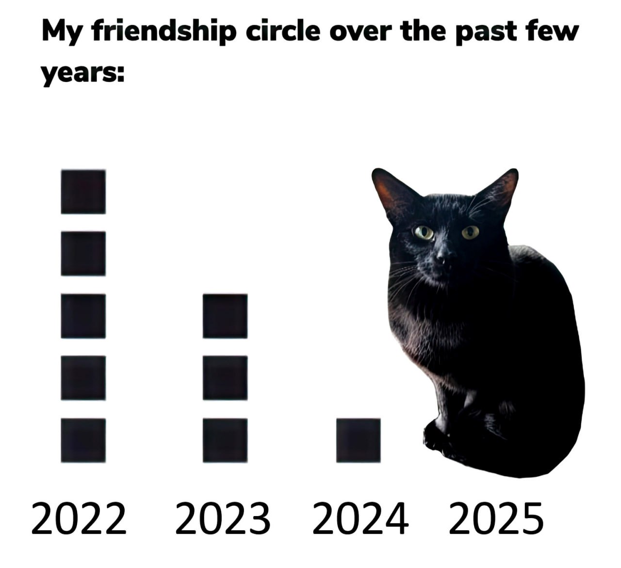 My friendship circle over the past few years График уменьшения круга общения с черной кошкой в 2025 году
