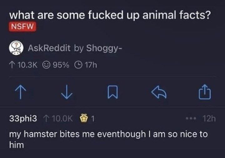 Мой хомяк кусает меня, хотя я так добр к нему Скриншот с Reddit, где пользователь Shoggy- спрашивает о "ебанутых фактах о животных", а 33phi3 отвечает, что его хомяк кусает его, хотя он так добр к нему. Надпись NSFW красного цвета присутствует под вопросом.