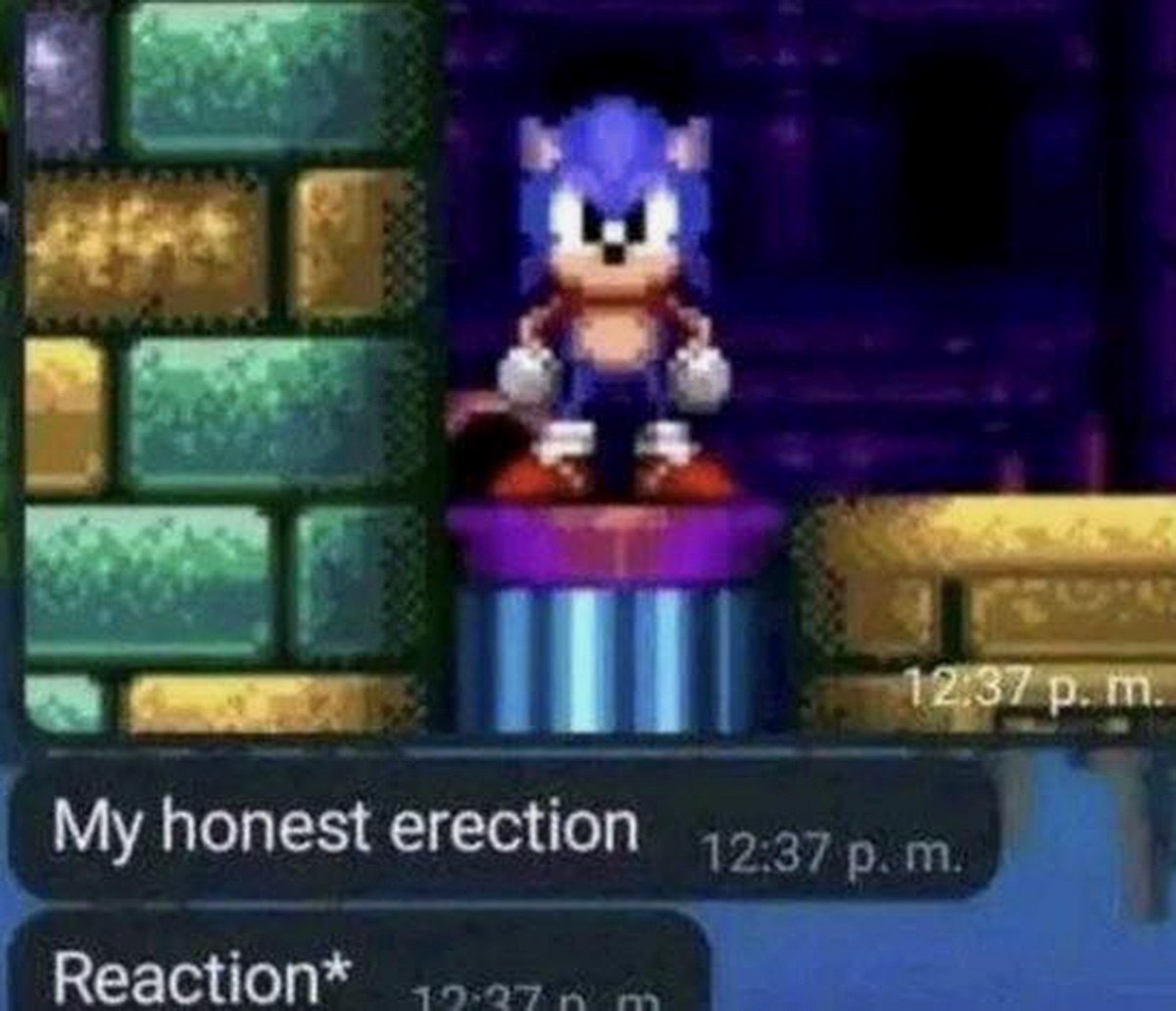 My honest erection Моя честная эрекция мем
