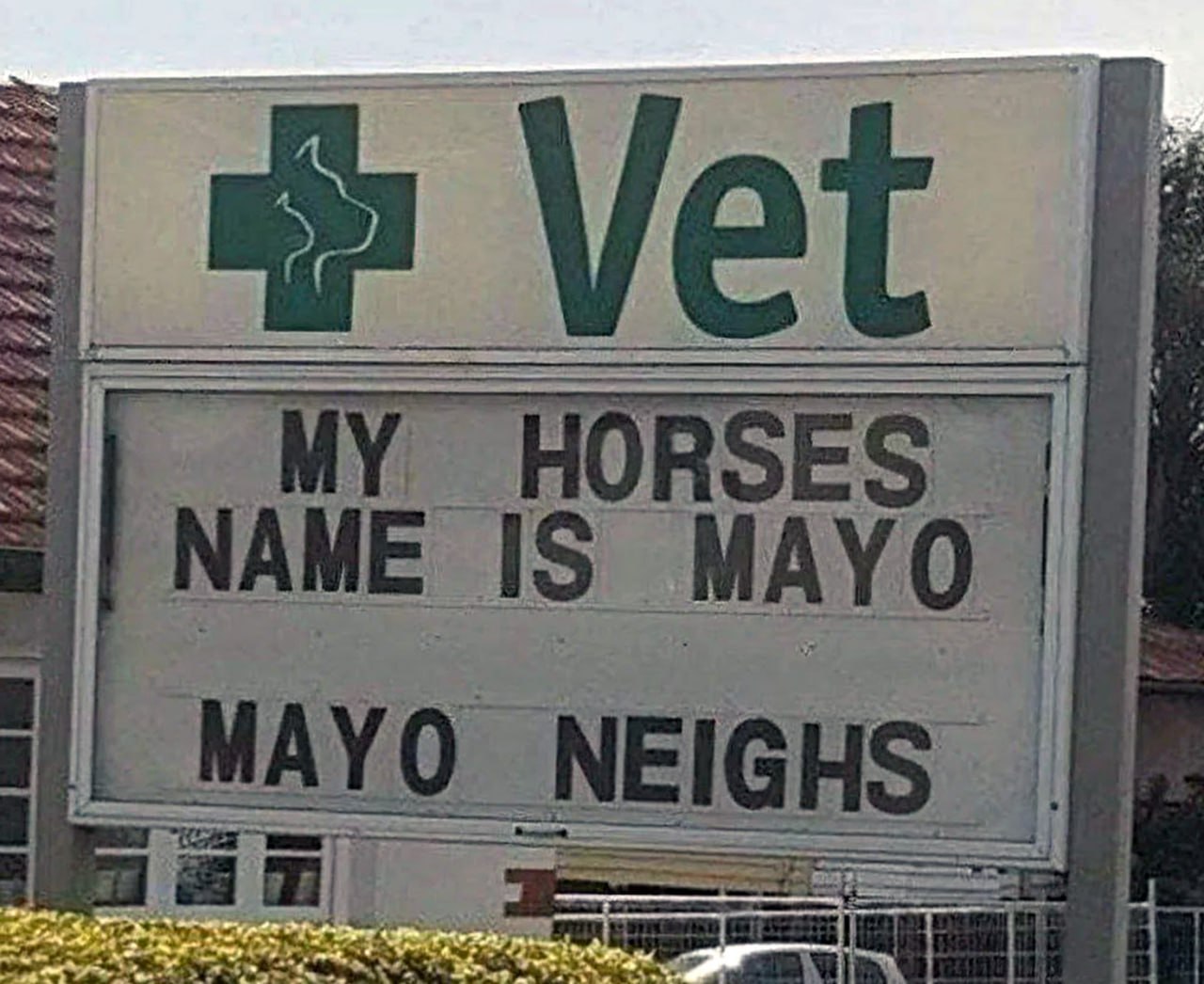 My horses name is Mayo. Mayo neighs Вывеска ветеринарной клиники с надписью My horses name is Mayo. Mayo neighs