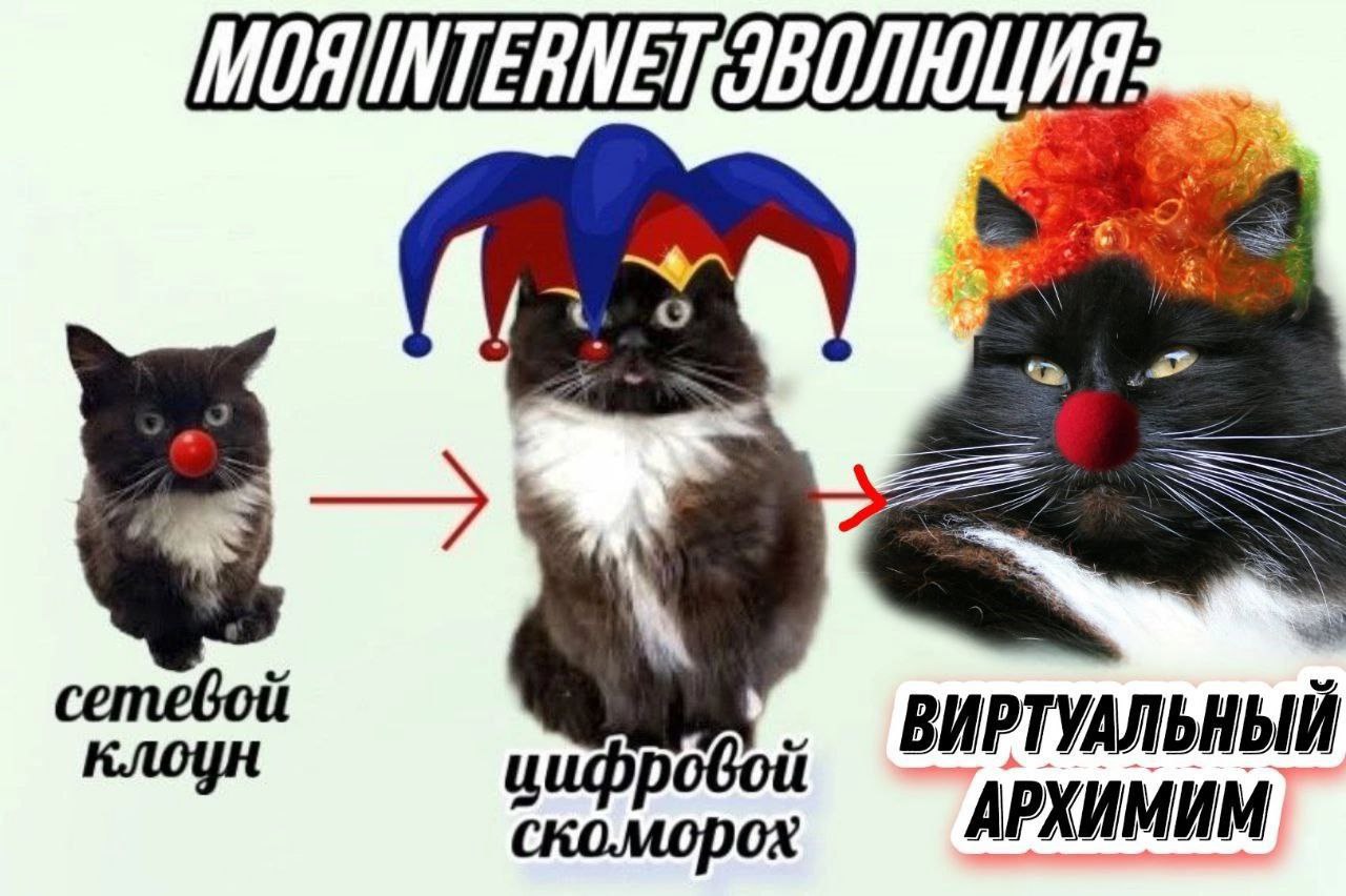 Моя интернет-эволюция Моя интернет-эволюция: от сетевого клоуна до виртуального архимима