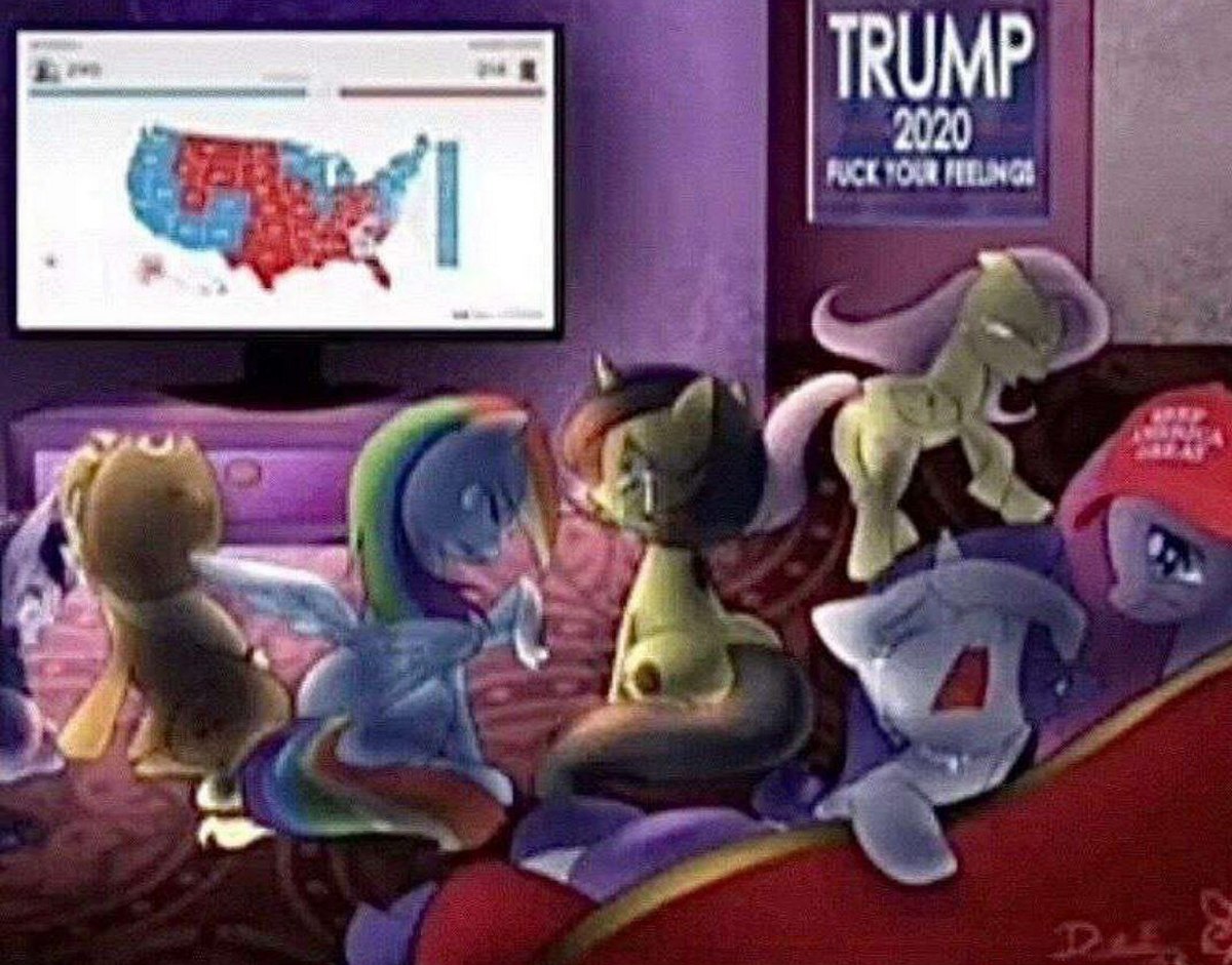 My Little Pony, Трамп 2020 Пони из My Little Pony смотрят результаты выборов, а сзади висит плакат Трамп 2020. Послание к твоим чувствам.
