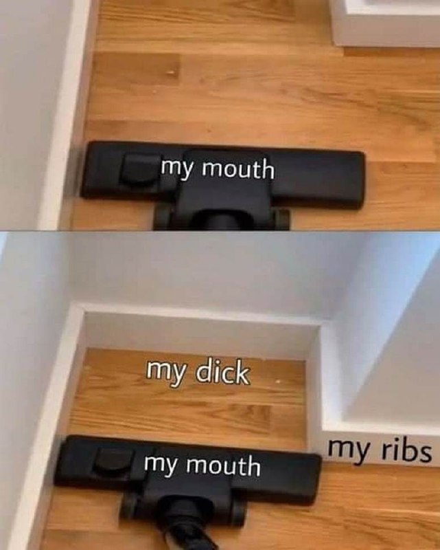 My mouth my dick my ribs Применение рта к разным объектам в мемном формате, где пылесос символизирует рот, который может достать везде, кроме ребер