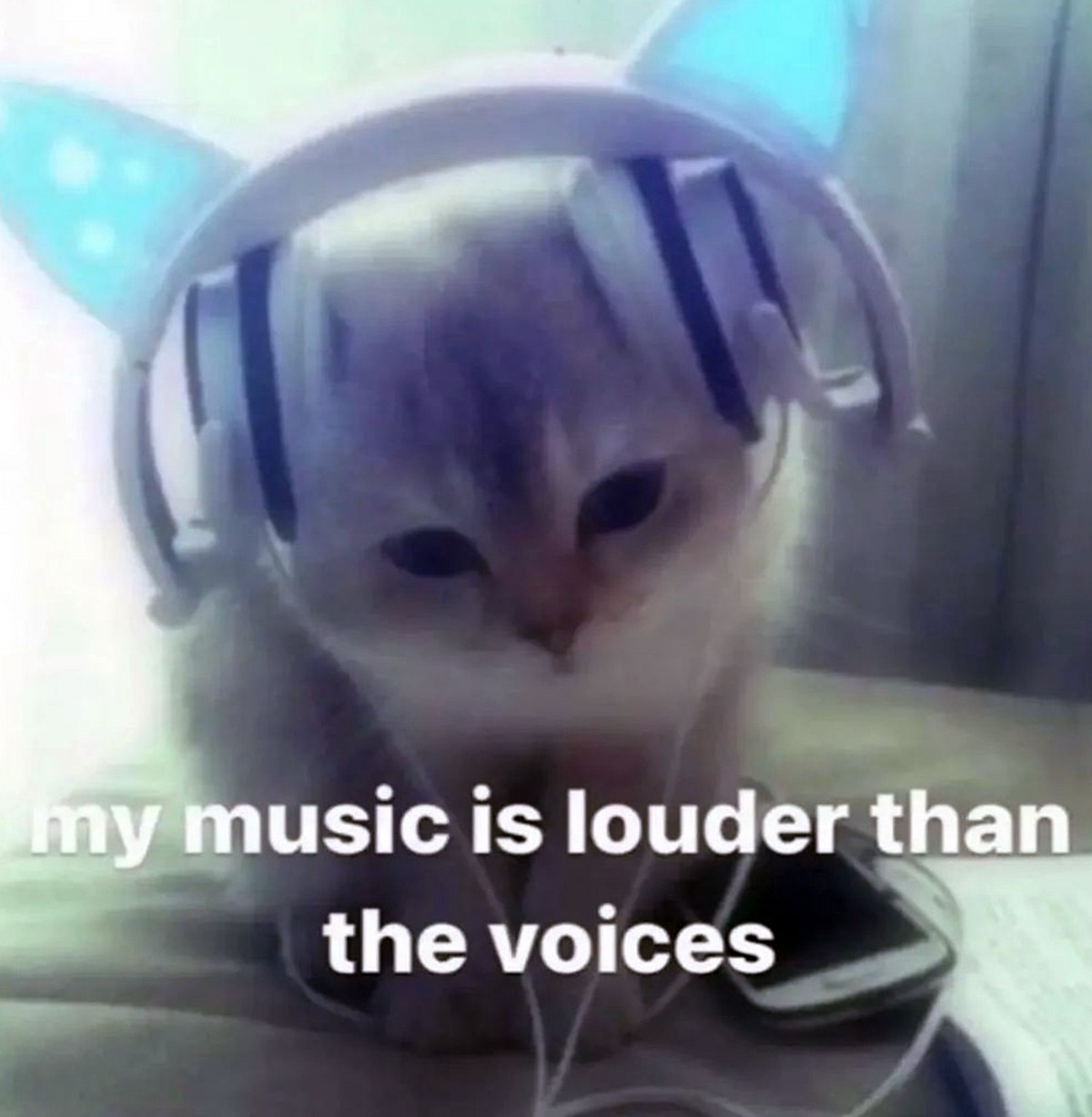My music is louder than the voices Мем с котом в наушниках с кошачьими ушками и надписью «My music is louder than the voices».