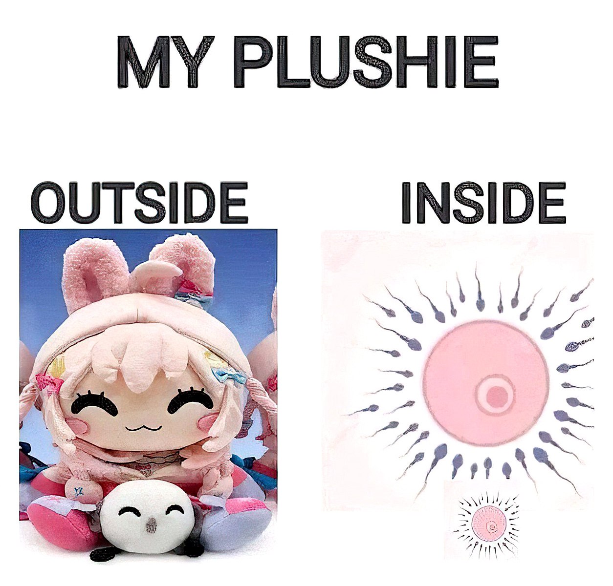 My plushie outside inside Мем "Моя плюшевая игрушка снаружи и внутри"